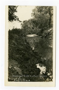 Image description is not available for PHO-264-538